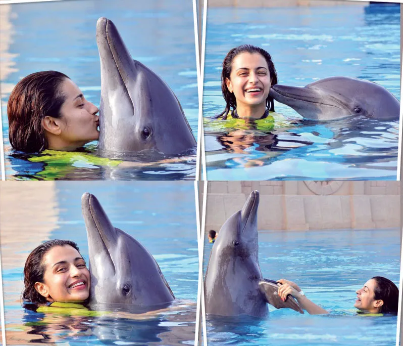 trisha