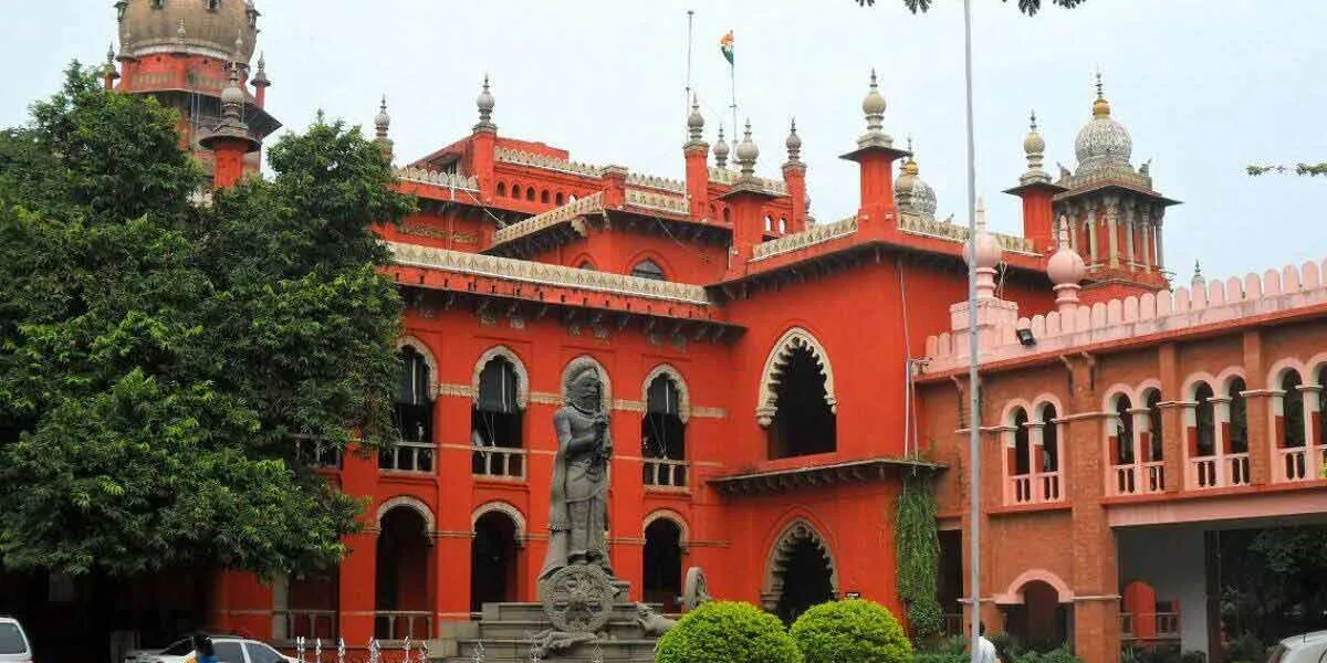 High Court pain!