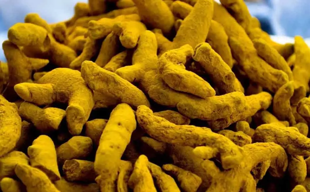Prices are going up for corporate companies ...! Farmers' product prices fall ...! Turmeric farmers suffer