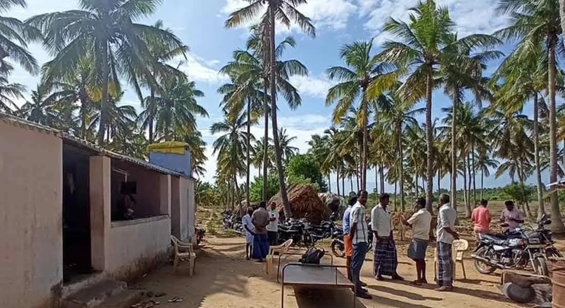 Masked bandits near Palani!