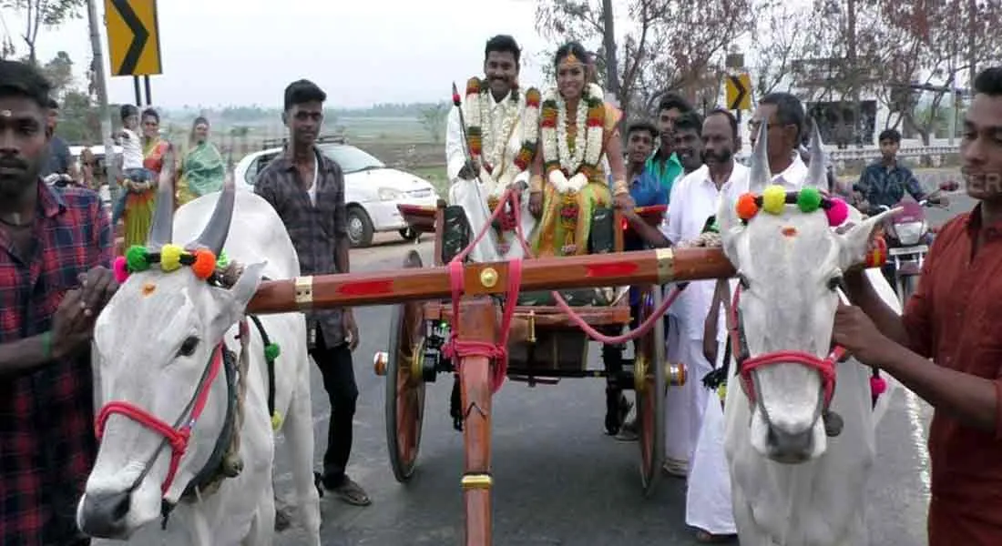 The culture of the  couple is the unchanging 'cow-cart' journey