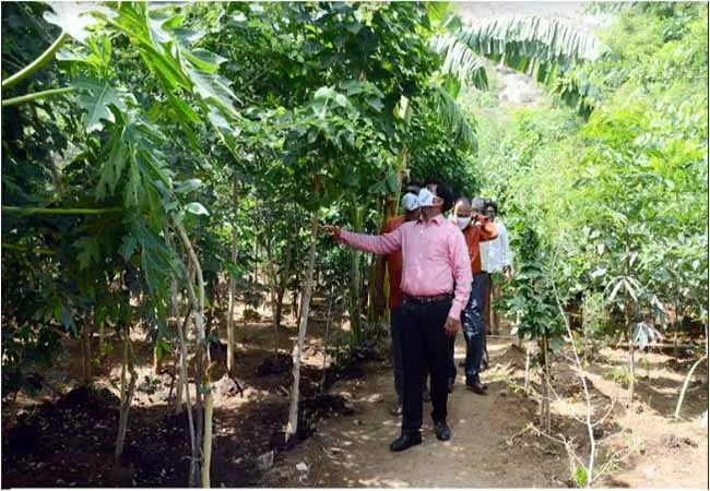 World Environment Day salem district corporation commissioner 