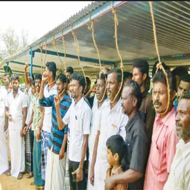 vadakadu