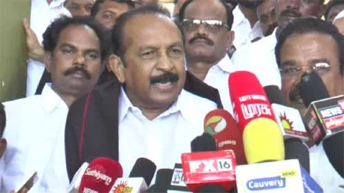vaiko interview 