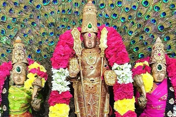 Actor Sarathkumar Darshan at Vallakottai Murugan Temple
