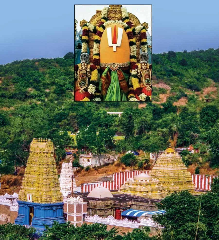 varaagi