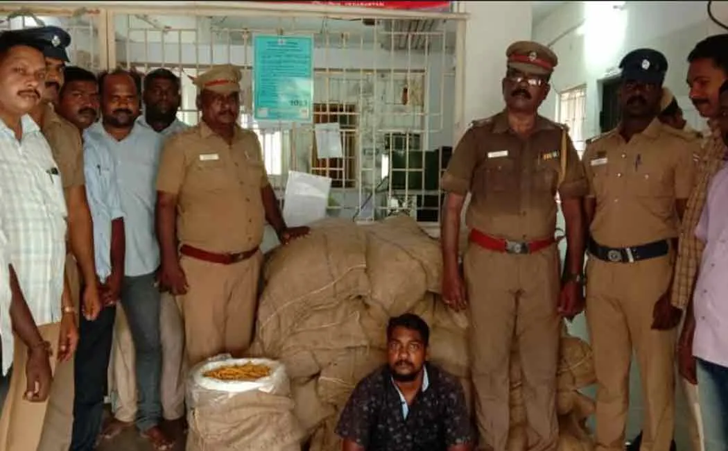 turmeric to srilanka from vethernayam