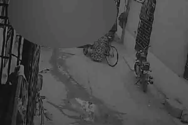 velacherry dog ​7 month old baby incident Public shock