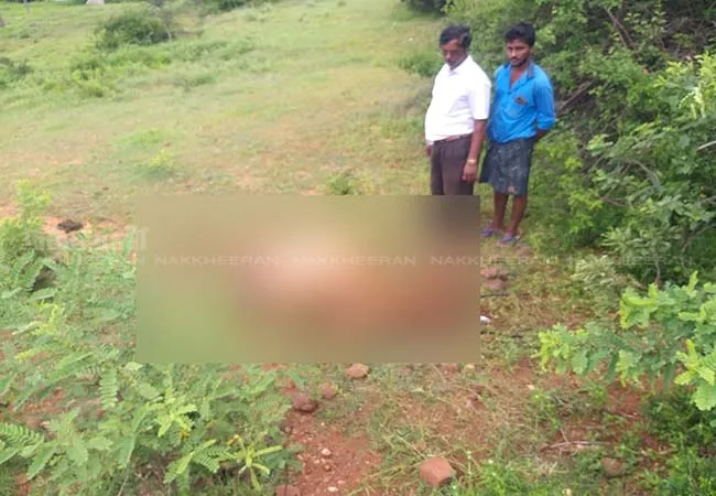 vellore forest area leopard peoples shock