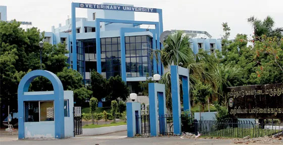 vetnaryuniversity