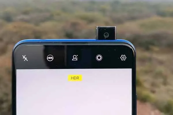 vivo