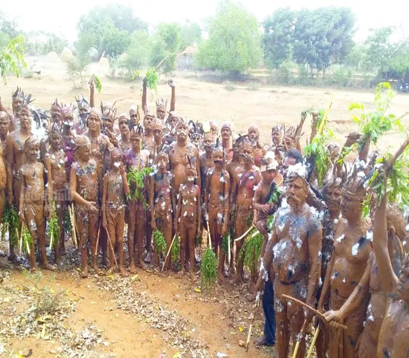 vizha