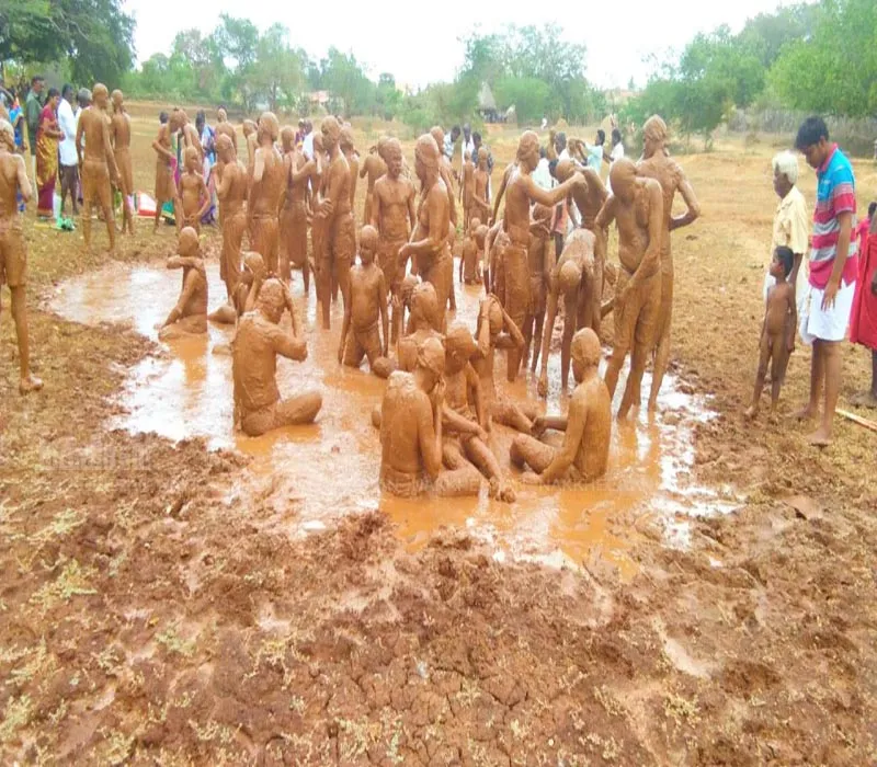 vizha1