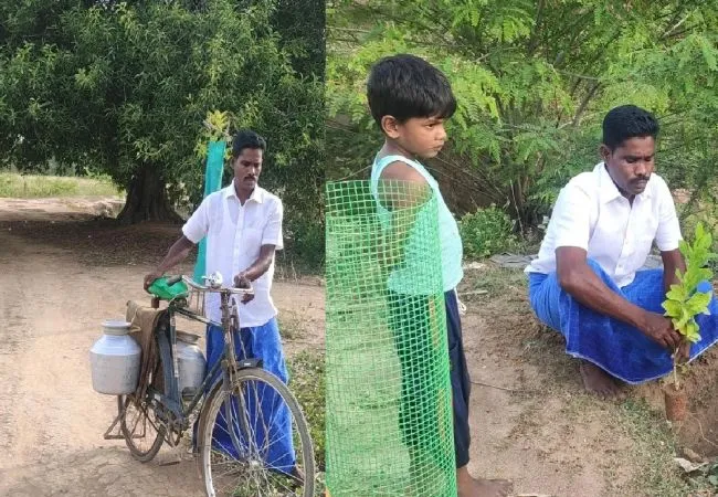 tree water youth service in pudukkottai district 