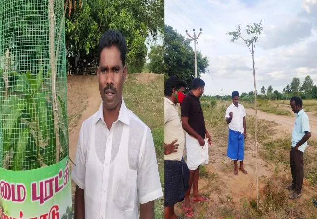 tree water youth service in pudukkottai district 