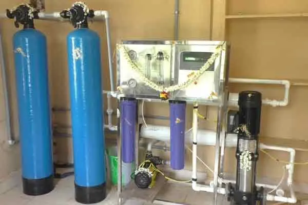 water plant 