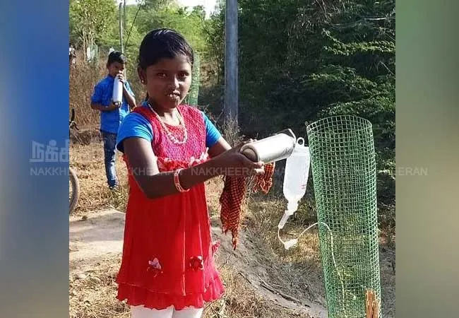 trees water pudukkottai schools students innovative 