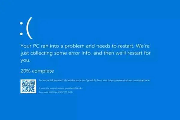 Windows software error