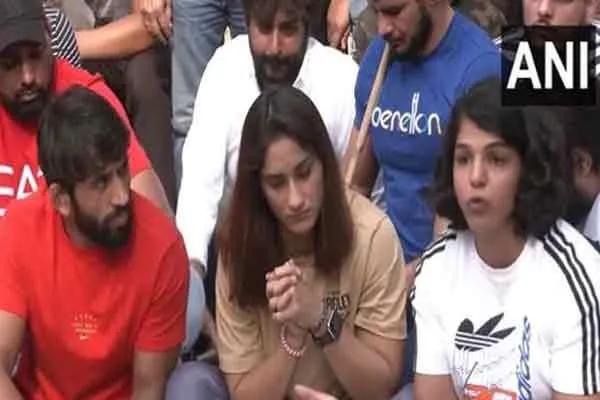 world wrestelrs organisation ready indian wrestlers