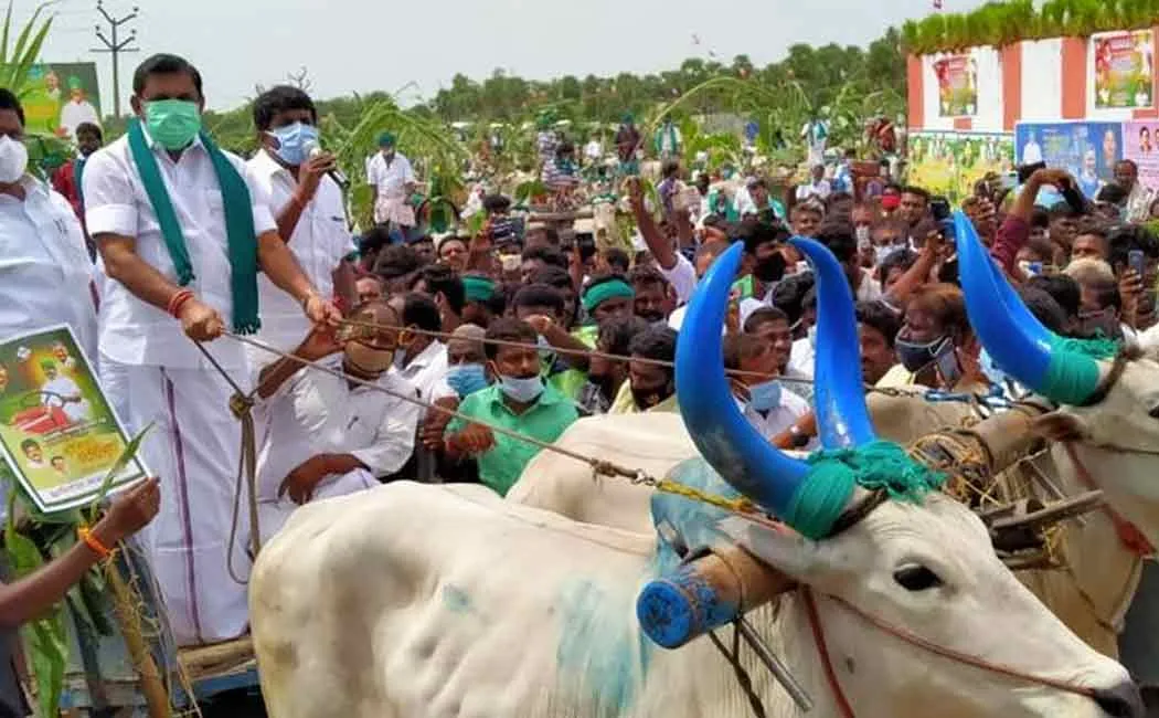 Edappadi palanisami at puthukottai
