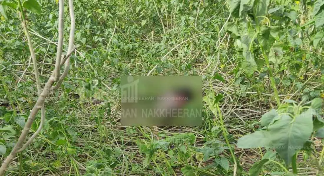 incident in pudukottai