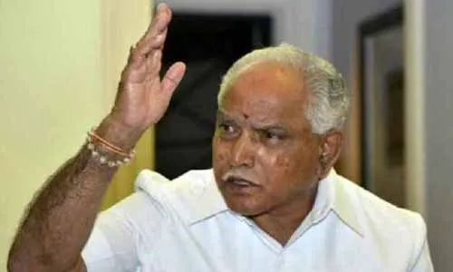 yeddy