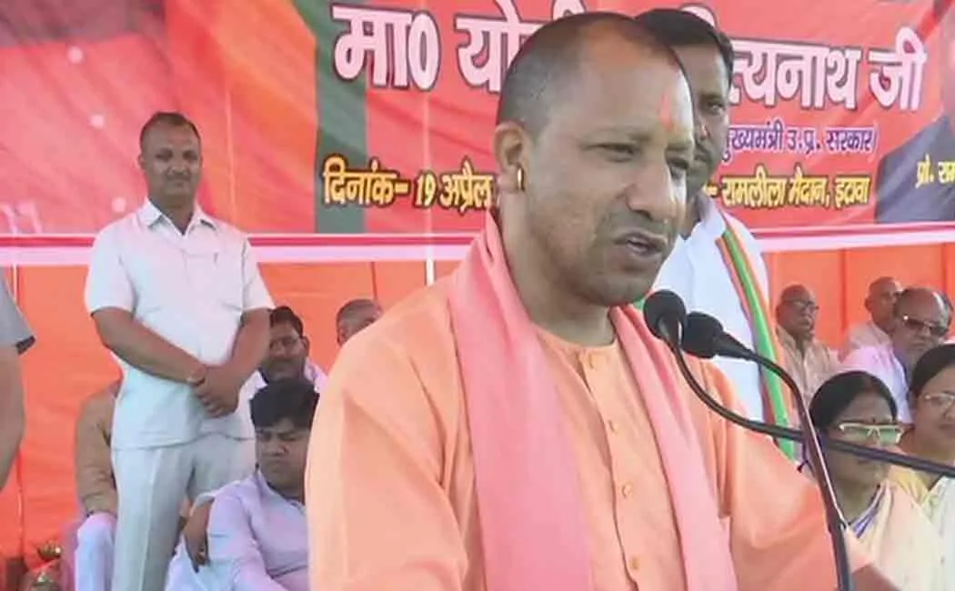 yogi