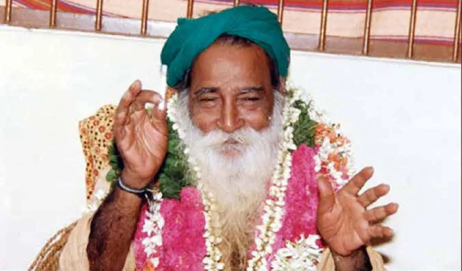 yogi