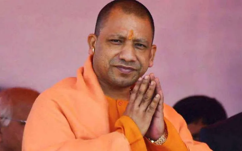 yogi