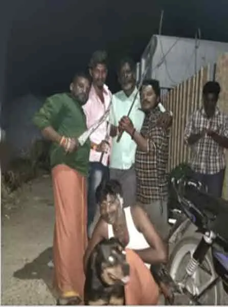 Birthday cake with Sword in  kovai ... Two arrested