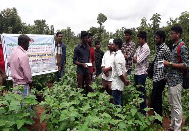 cuddalore heavy rain agriculture land flood 