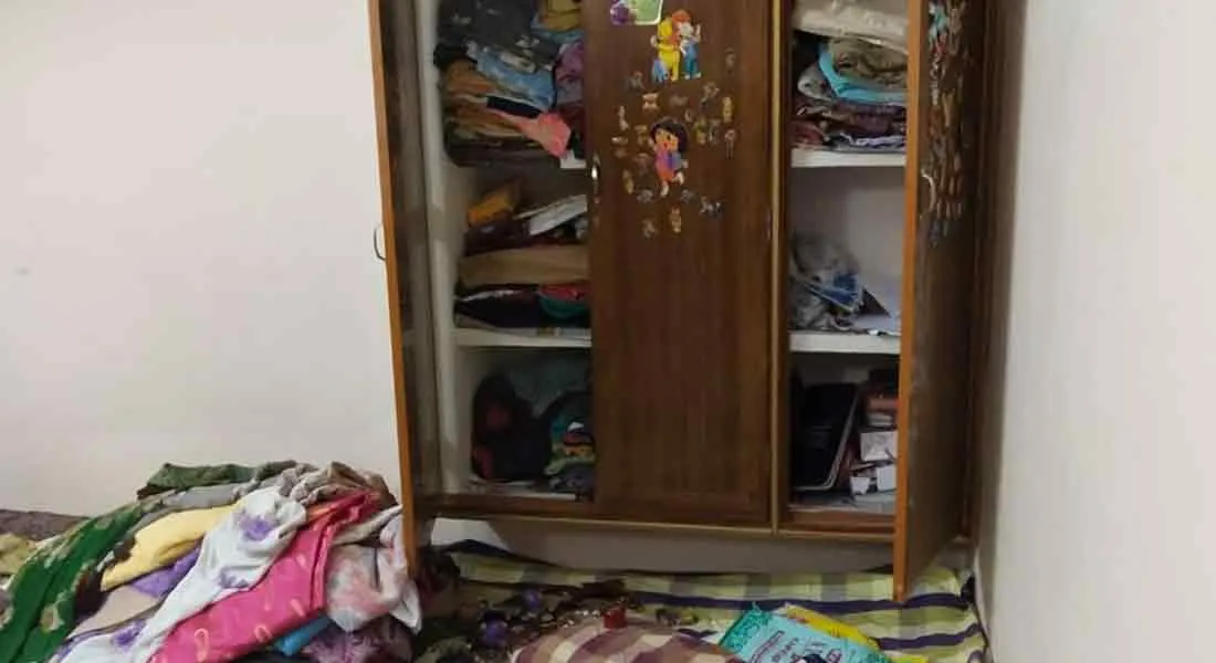 Theft at the university professor's house! 