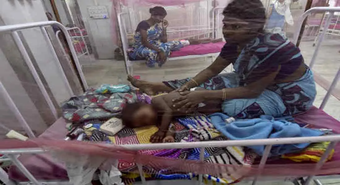  Dengue: 14 people in Thiruvarur