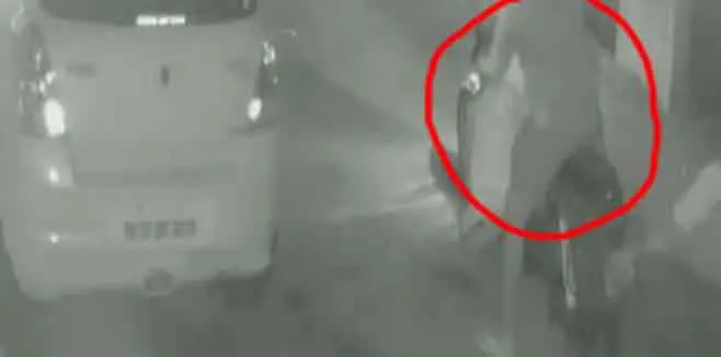 poisoning to 15 street dogs... people report with cctv footage  