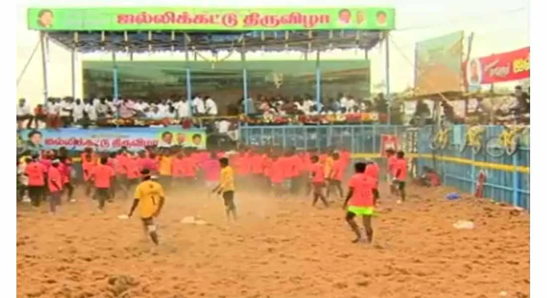 Completed Viralimalai Jallikattu !!