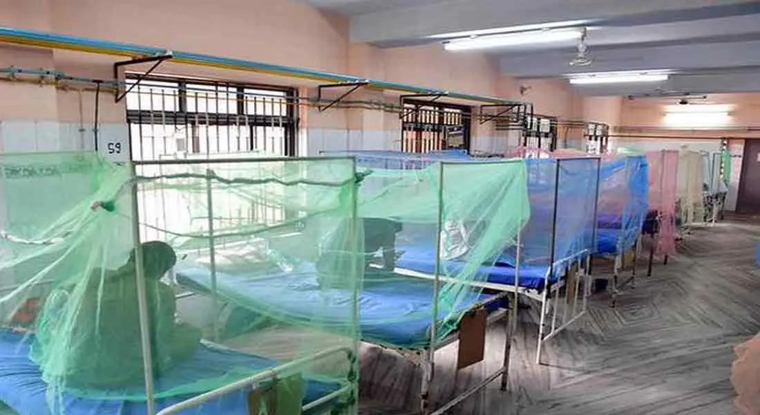 dengue 
