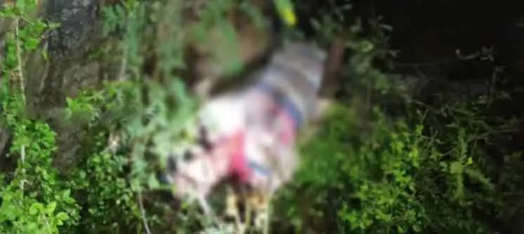 Inappropriate relationship that took the life! incident in vilupuram