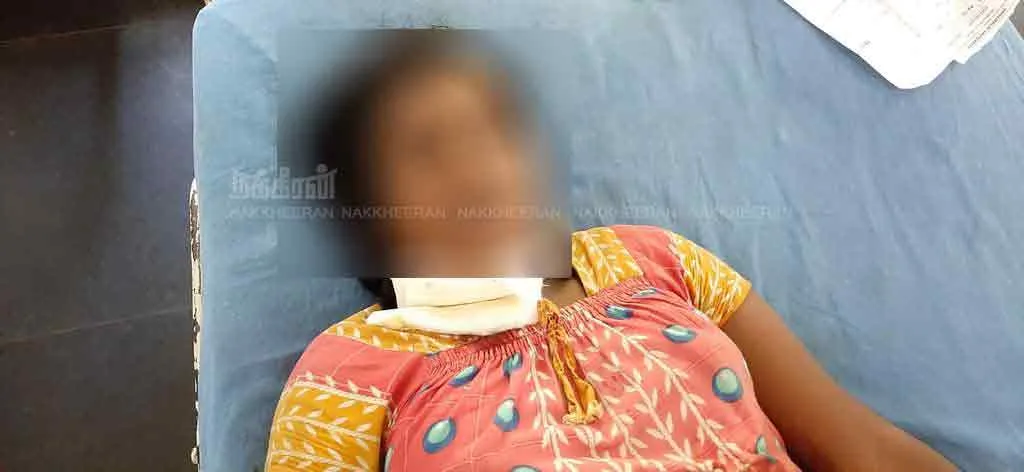 love incident in chithamparam 