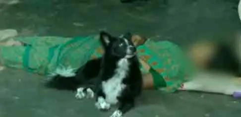 Elasticity incident in vellore