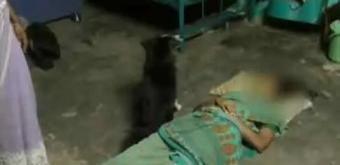 Elasticity incident in vellore