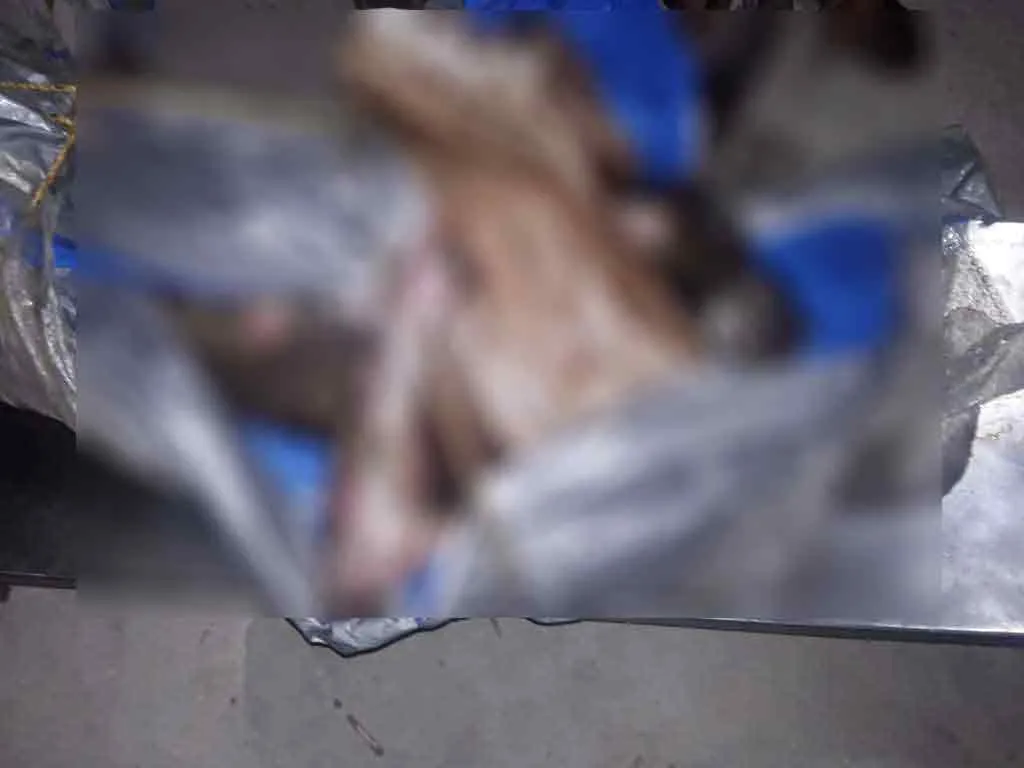 6 fishermen alive after boat capsized 3 Fishermen's bodies recovered ..!