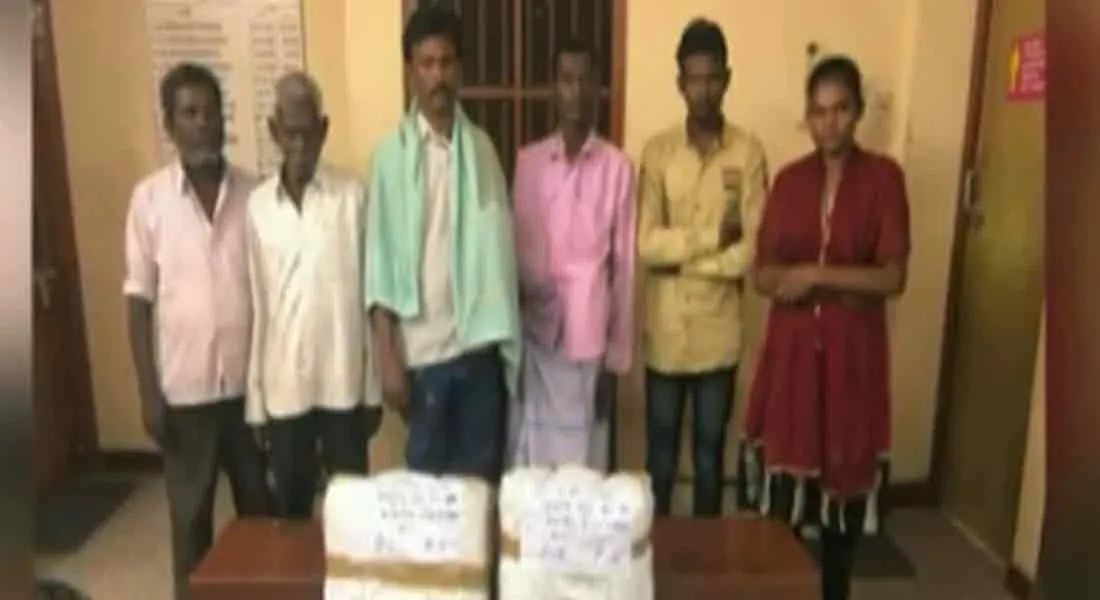 Cannabis Sales in  WhatsApp...  Cannabis gang arrested