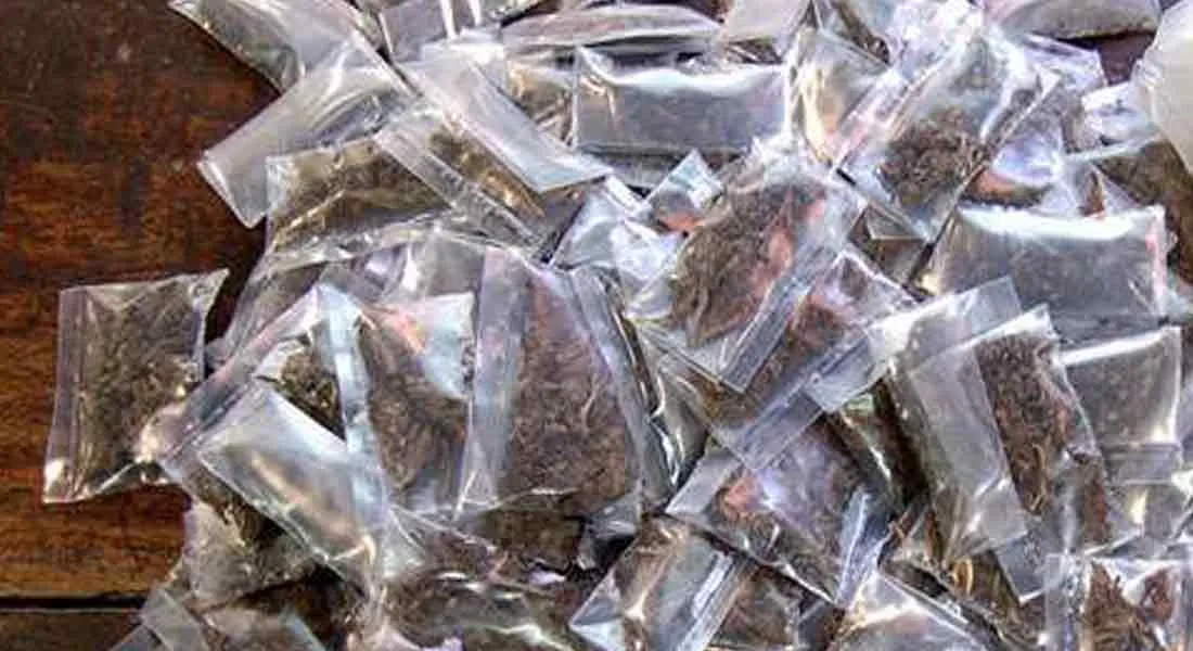  46 arrested for selling ganja in Chennai