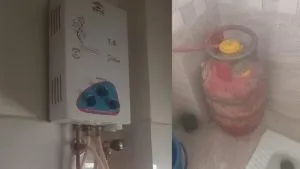 publive-image