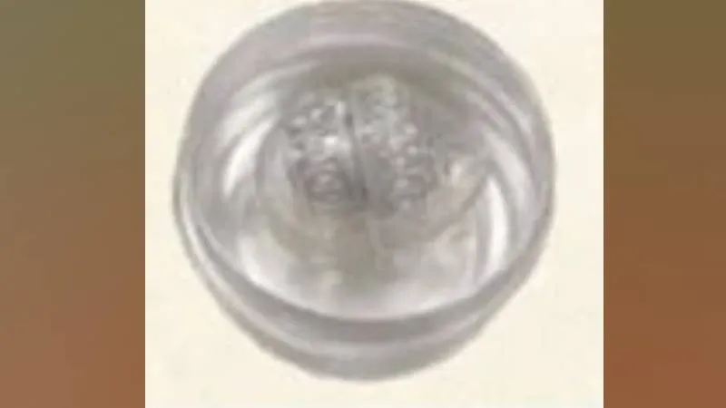 publive-image