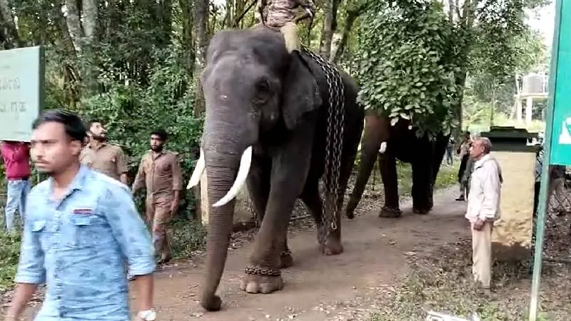ಕೂಂಬಿಂಗ್ ಕಾರ್ಯಚರಣೆ