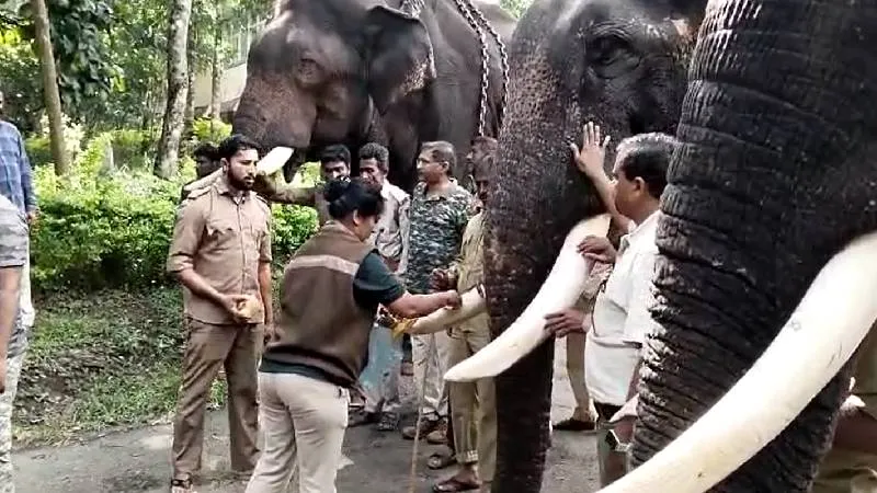 ಕೂಂಬಿಂಗ್ ಕಾರ್ಯಚರಣೆ