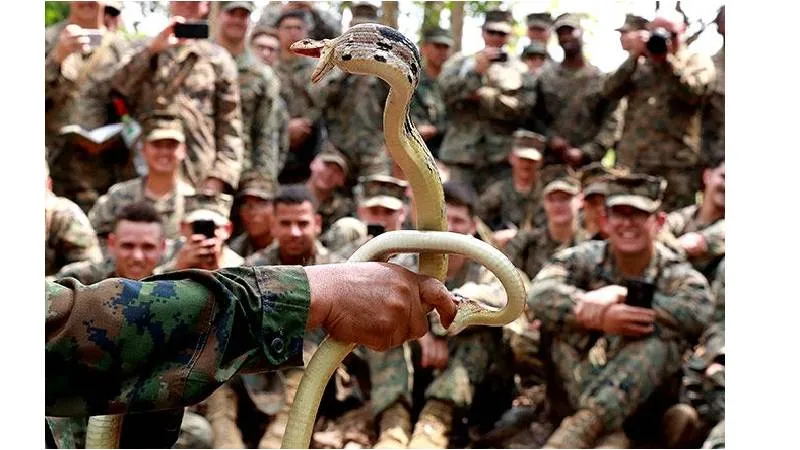 publive-image