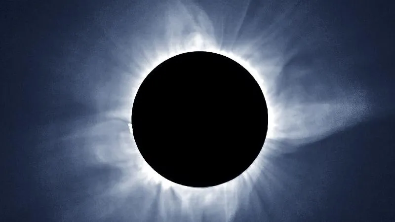 publive-image