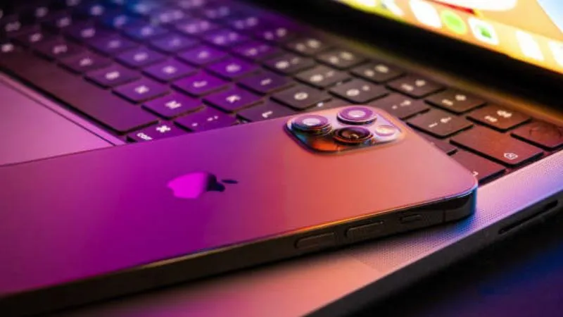 publive-image